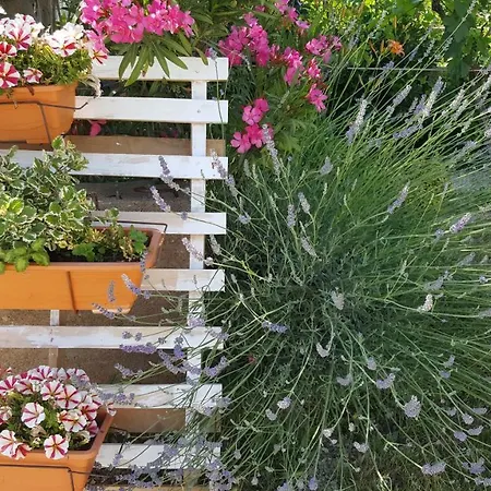 Andela - Krka Waterfalls Guest house