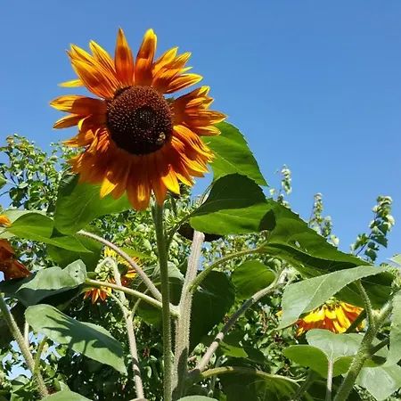 Andela - Krka Waterfalls Lozovac
