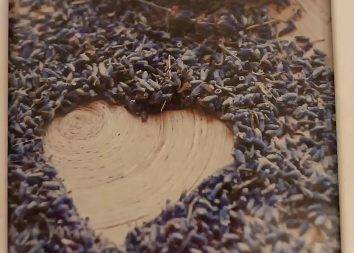 Andela - Krka Waterfalls 3* 罗佐瓦克