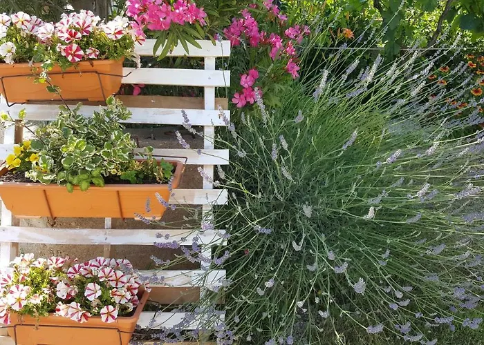 Andela - Krka Waterfalls 招待所