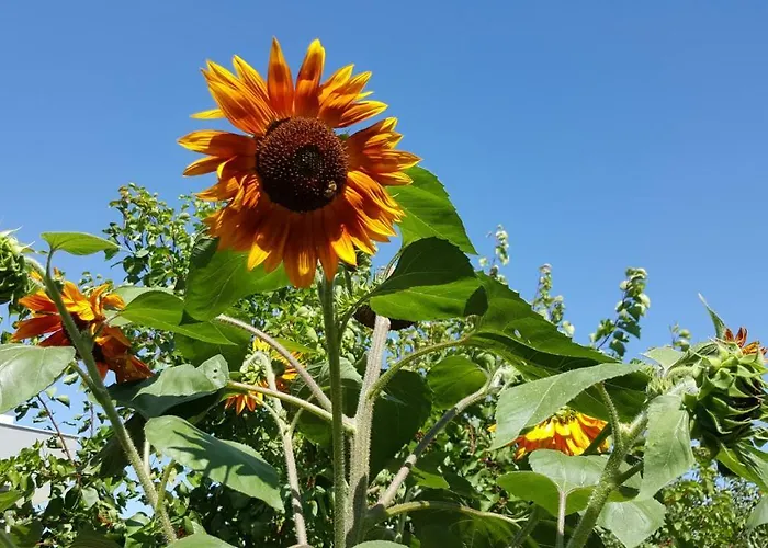 Andela - Krka Waterfalls Lozovac